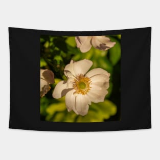 Japanese Anemone on a Sunny Day Tapestry