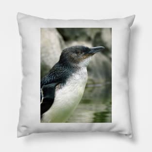 Little Penguin Pillow