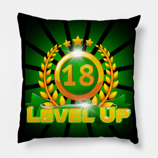 Level Up 18th Birthday Gift Pillow by ScienceNStuffStudio