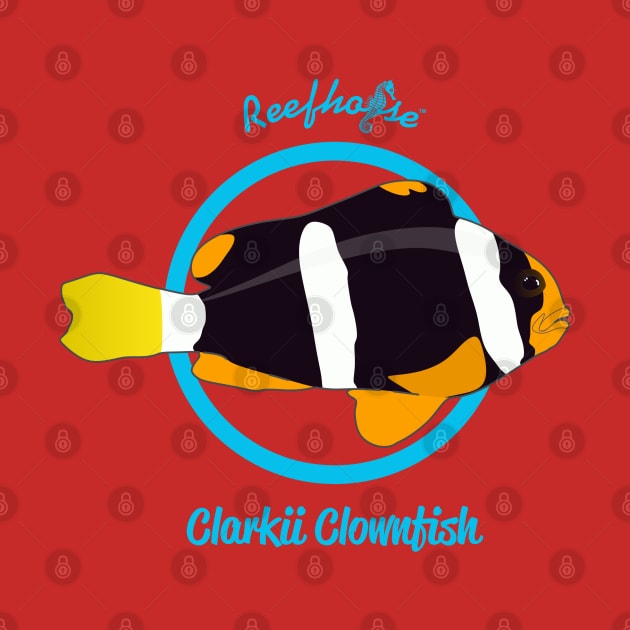Clarkii Clownfish by Reefhorse