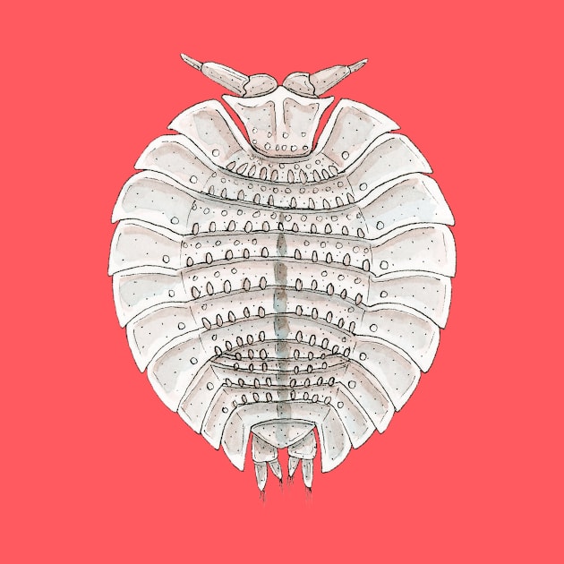 Coatonia phylloniscoides Isopod by paintedpansy