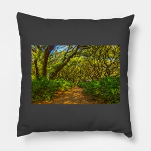 Cumberland Island National Seashore Pillow