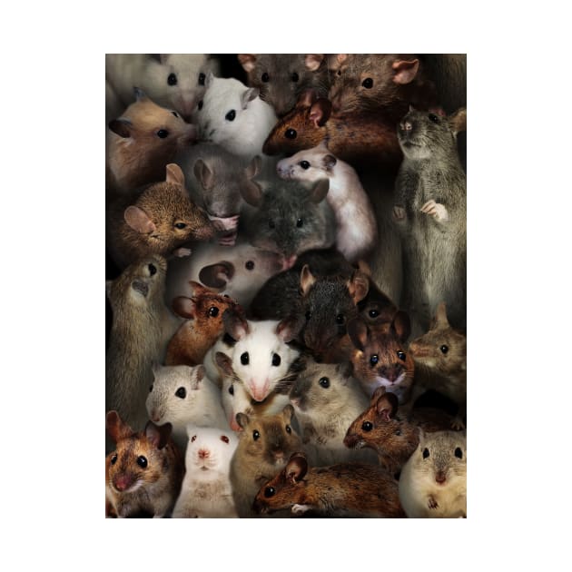 Mice by MaxencePierrard