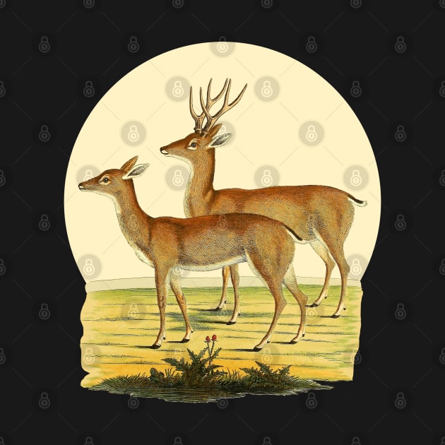 A Pair of Deer Nature Illustration by Biophilia