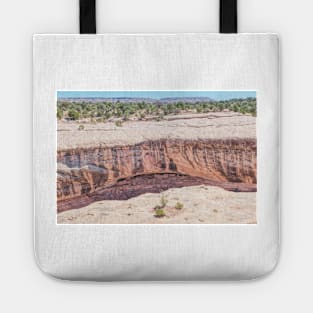 850_7091 Tote