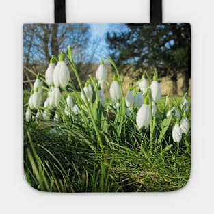 Snowdrops in the Afternoon Sun Tote
