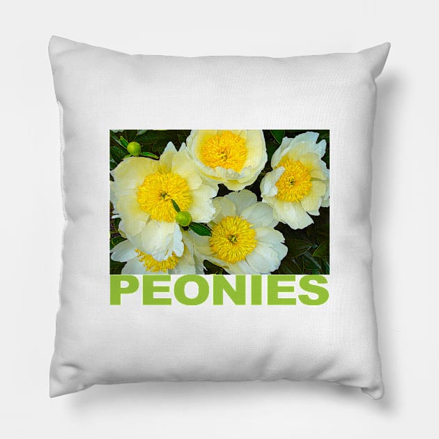 Peonies Pillow by Verl