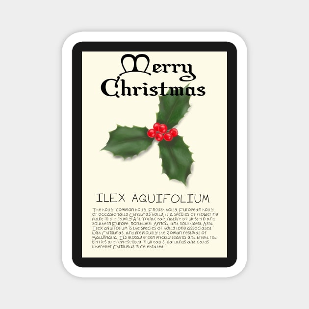 Holly Genus Christmas Card Magnet by DesignsBySaxton