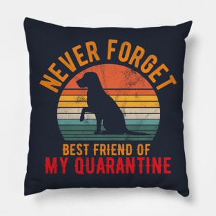 Funny Quarantine Quotes funny quarantine quotes gifts Pillow