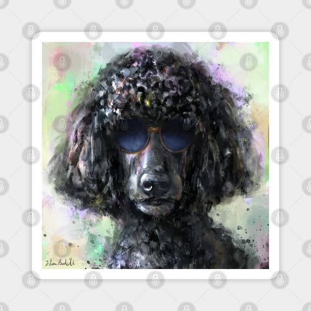 An Expressive Painting of a Cool Looking Black Poodle with Sunglasses Magnet by ibadishi