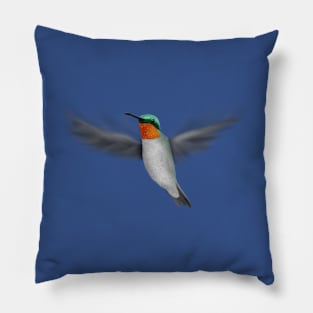 Tiny Illustrated Hummingbird Pillow