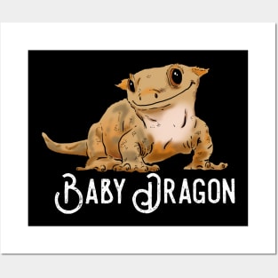 13+ Crested Gecko Drawing