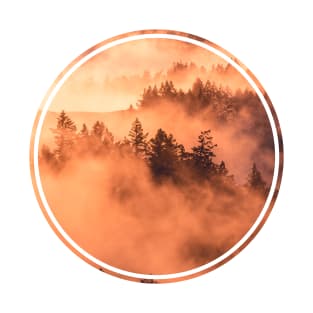 Mysterious Foggy Forest sunrise T-Shirt