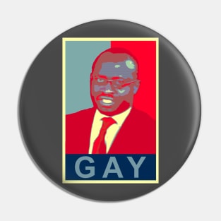 Why Are You Gay Meme Pin