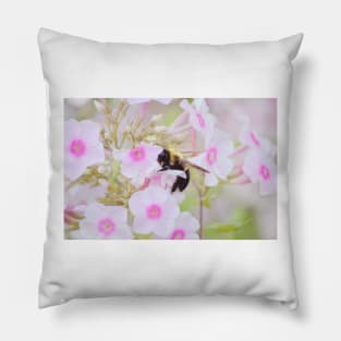 Bumblebee & Phlox Pillow