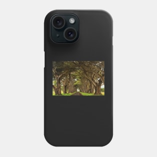 Point Reyes Cypress Tunnel Phone Case