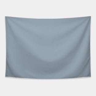 Solid Storm Light Blue Gray Monochrome Minimal Design Tapestry