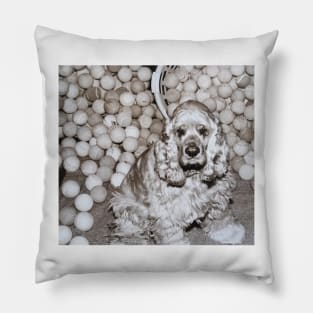 "THE COLLECTOR" Pillow