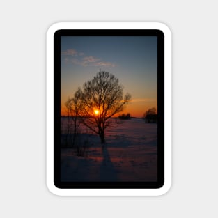 Sunset winter landscape with snow-covered road in violet and pink colors Magnet