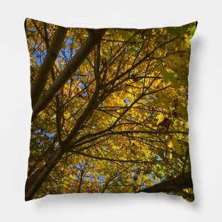 Up a Tree in Autumn Pillow