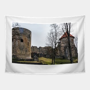 Ruins of medieval castle in Cesis, Latvia Tapestry