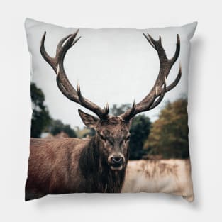 Deer Stag Pillow