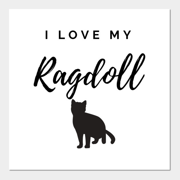 I Love My Ragdoll Cat Ragdoll Cat Posters And Art Prints Teepublic