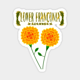 Lower Franconia Magnet