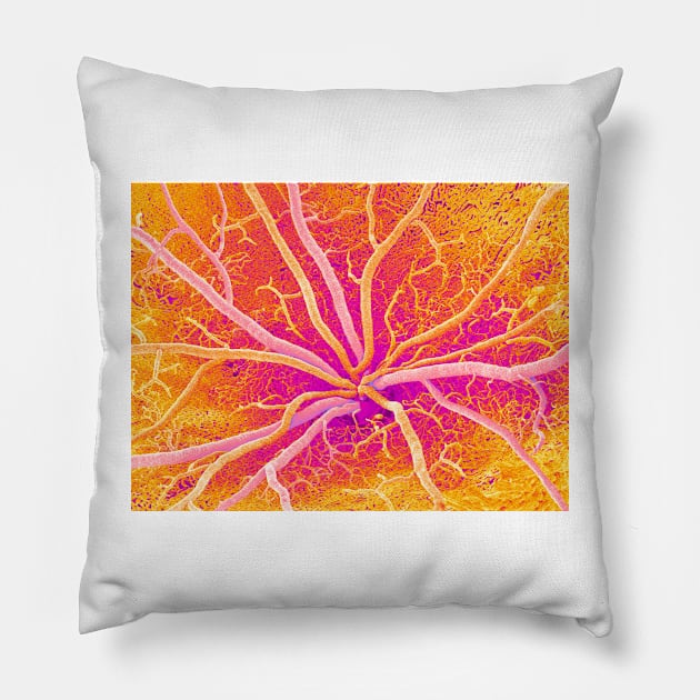 Retina blood vessels, SEM (P424/0265) Pillow by SciencePhoto