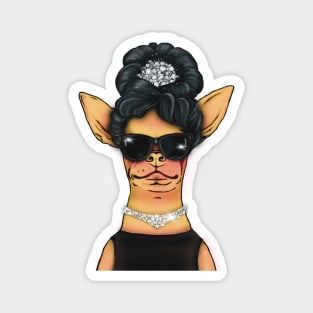 Hepburn Chihuahua Magnet