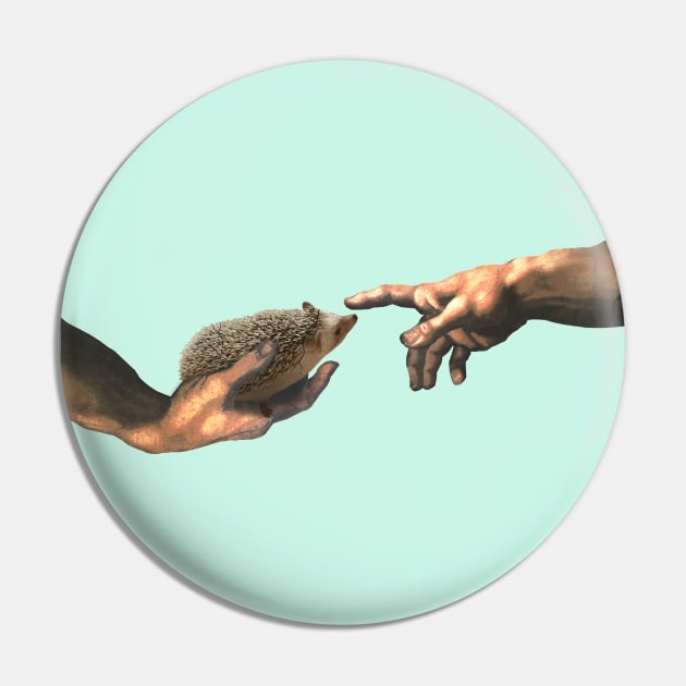 creation of a Hedgehog - michelangelo's parody Pin by FandomizedRose