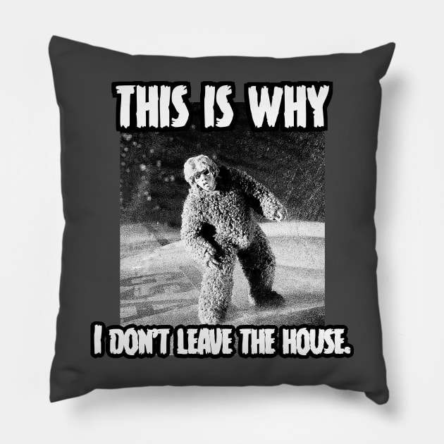 This Is Why Twilight Zone Pillow by Ladybird Etch Co.