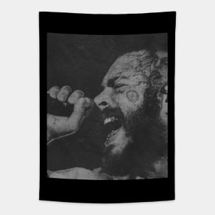 Post Malone //  rapper hiphop Tapestry