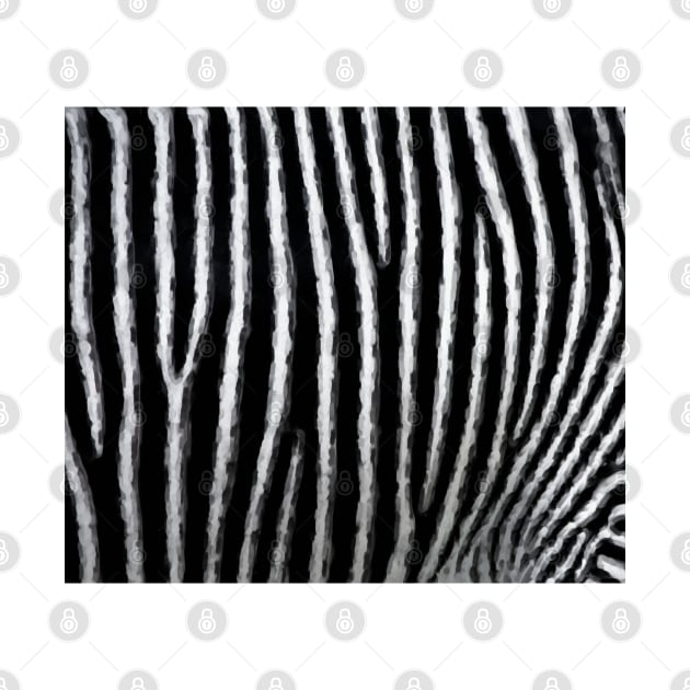 Zebra Stripe Pattern by thesnowwhyte