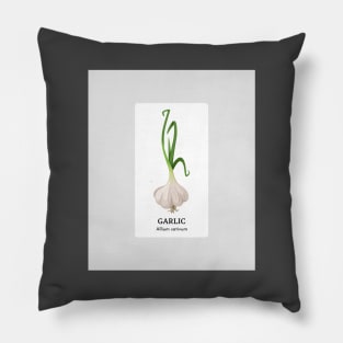 I Love Garlic Pillow