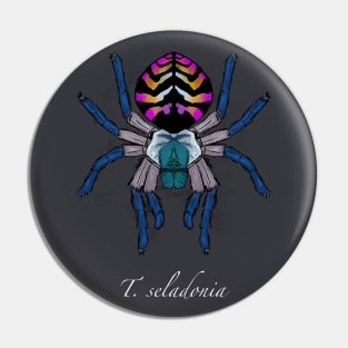 T. seladonia Pin