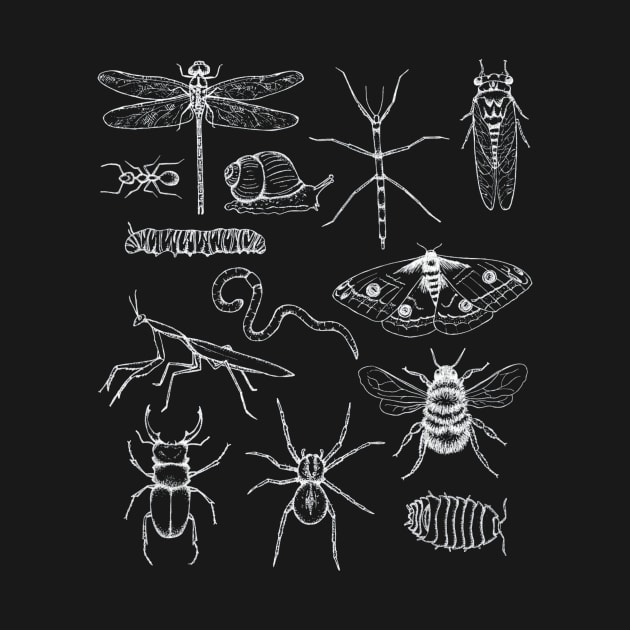 Minibeasts T Shirt With Insects by mazurprop