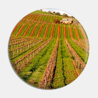 Vineyard in the Barossa Valley Pin