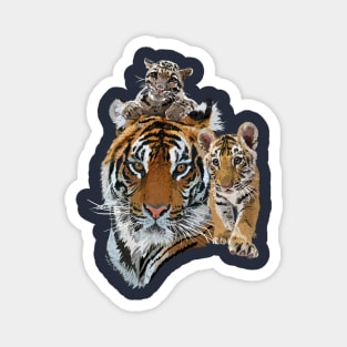 Bengal tiger and hazy tiger Magnet