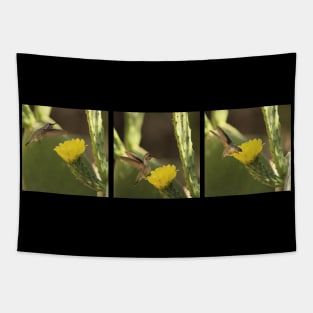 Hummingbird On Yellow Cactus Blossom Triptych Tapestry