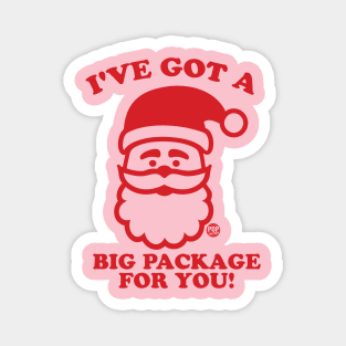 SANTA BIG PACKAGE Magnet