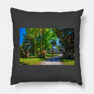 Cumberland Island National Seashore Pillow