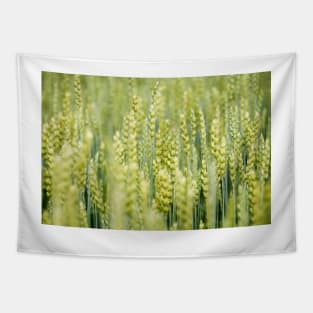 Common Wheat Tapestry