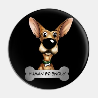 Human Friendly Pin