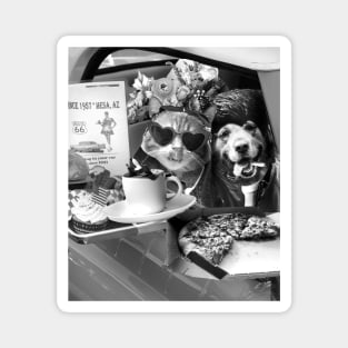 Dog Cat Drive-in With Pizza Coffee Flowers Magnet