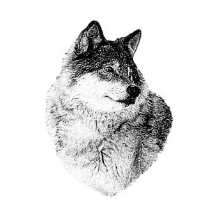 Wolf portrait T-Shirt