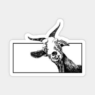 The Goat Magnet