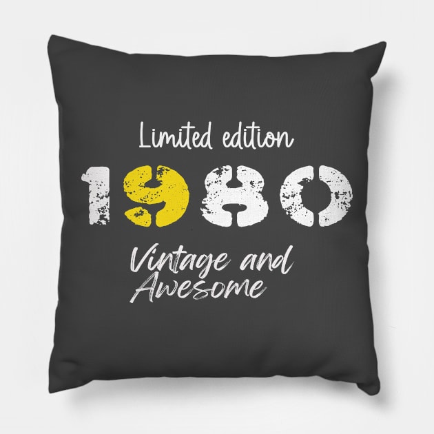 Born in 1980 Birthyear Gift, 1980 Awesome accessories for Birthday, 42nd Birthday Pillow by Nocrayons