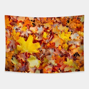 Welcome Autumn Tapestry