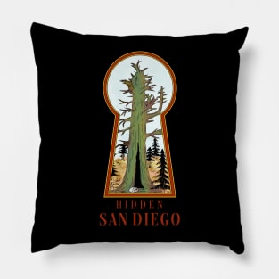 Colored Hidden San Diego Palomar Mountain Pillow